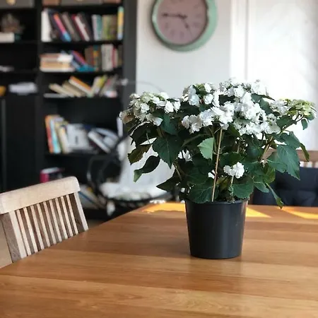 St. Georges Atelier 아파트 *