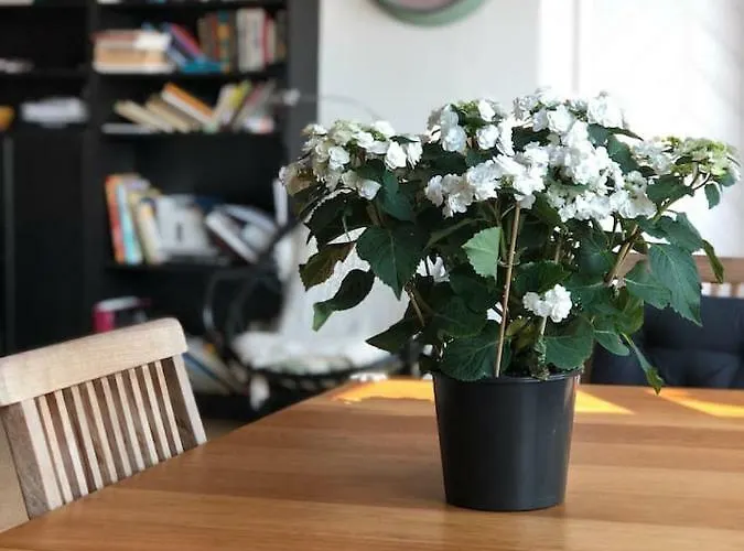 St. Georges Atelier شقة *